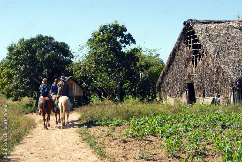 Vallée de Vinalès, séchoir à tabac, cavaliers rentrent de promenade, cuba, Caraïbes