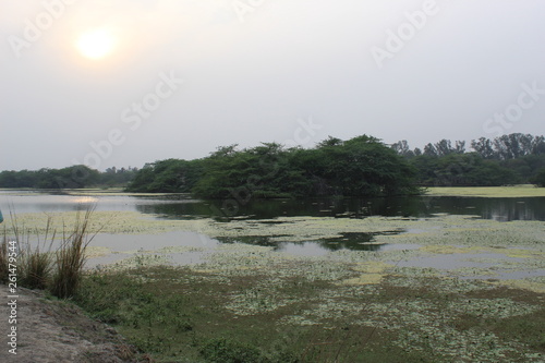 SULTANPUR BIRD SANCTUARY photo