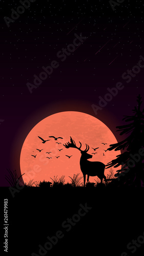Sunset in the field, silhouette of deer, birds, trees and grass © DDevicee