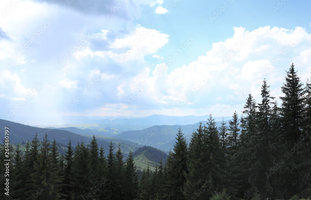 Beautiful landscape with forest and mountain slopes