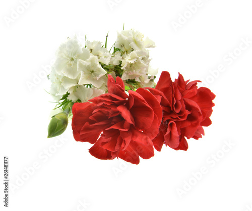 bouquet of red carnation isolated on white background