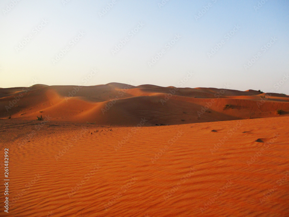 Sand dunes in Sahara desert