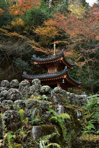 京都 愛宕念仏寺