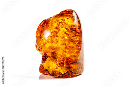 Macro stone mineral amber with insects, flies and beetles on a white background close up