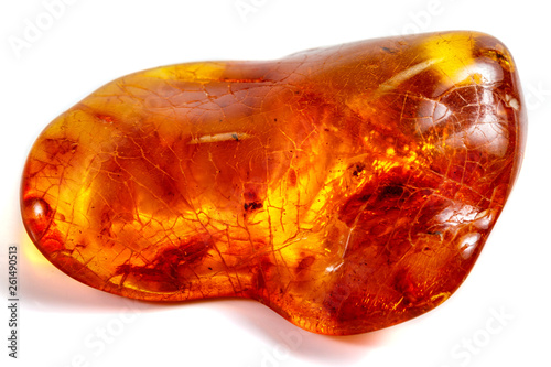 Fotografie, Obraz Macro stone mineral amber with insects, flies and beetles on a white background