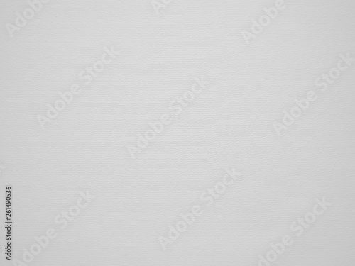light grey background. with no detail. visible structure and texture of the paper photo