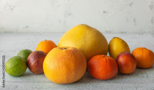 Variety of citrus fruit © alex9500