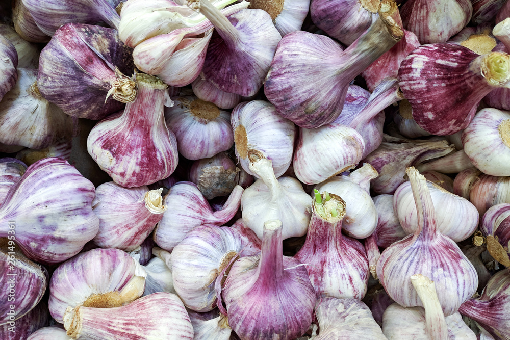Violet young garlic   in box,  background. Fresh  garlic variety grown in the shop. Tasty and healthy food