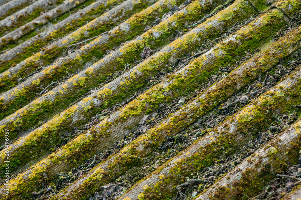 Slate roof is covered with green moss