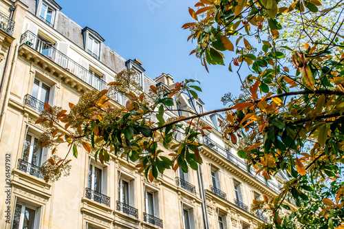 Fotografía Spring in Paris