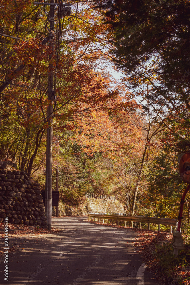 Fototapeta premium Country Roads, Nikko Japan