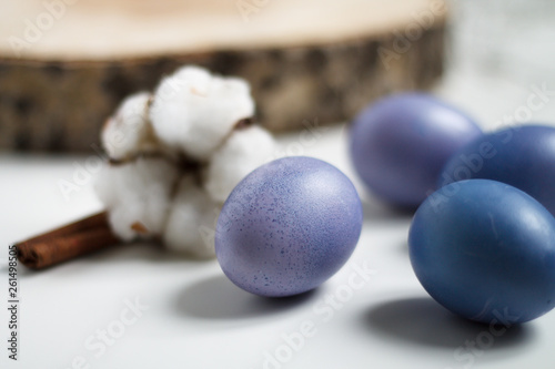 dyed eggs purple with cotton on a light background of Easter