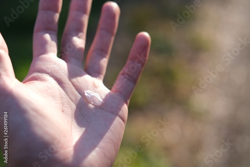 cherry blossom on hand © Sako