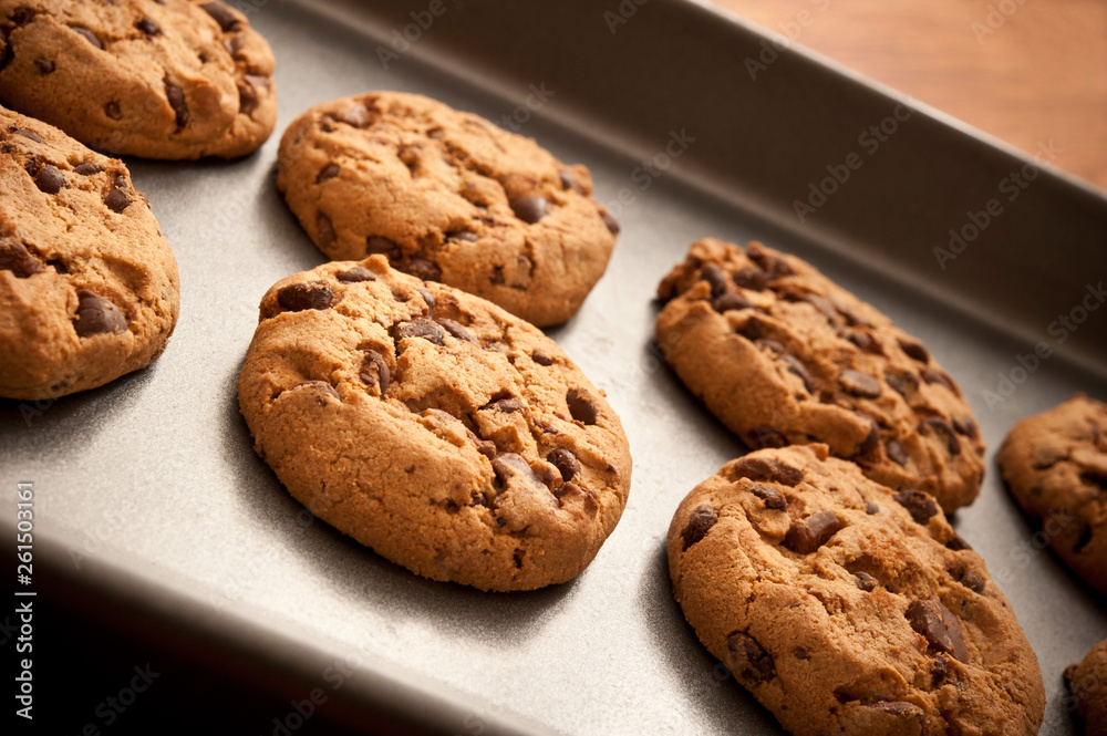home made chocolate chips oat cookies in a baking pan in rustic style home made chocolate chips oat cookies in a baking pan in rustic style