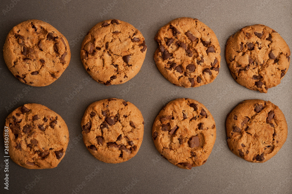 home made chocolate chips oat cookies in a baking pan in rustic style home made chocolate chips oat cookies in a baking pan in rustic style