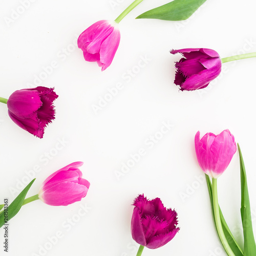 Round frame of tulip flowers on white. Flat lay  Top view