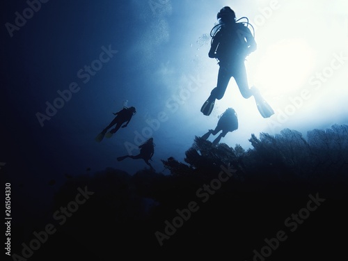 Wallpaper Mural Scuba diver descending to the bottom Torontodigital.ca