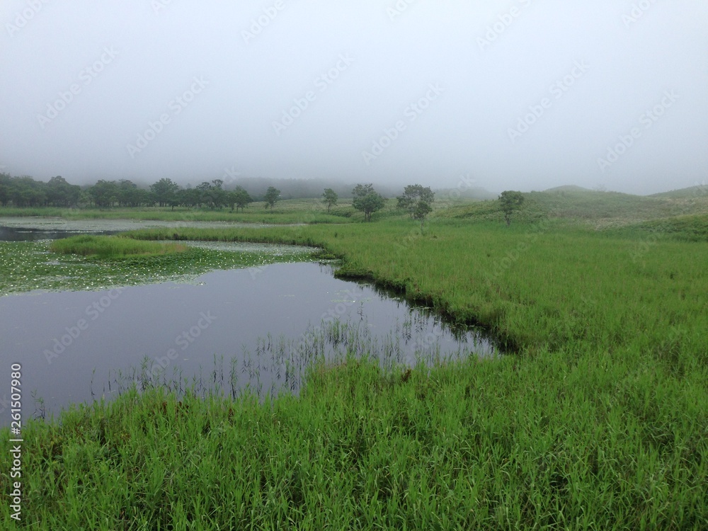 Wetland in Shiretoko, Hokkaido, Japan