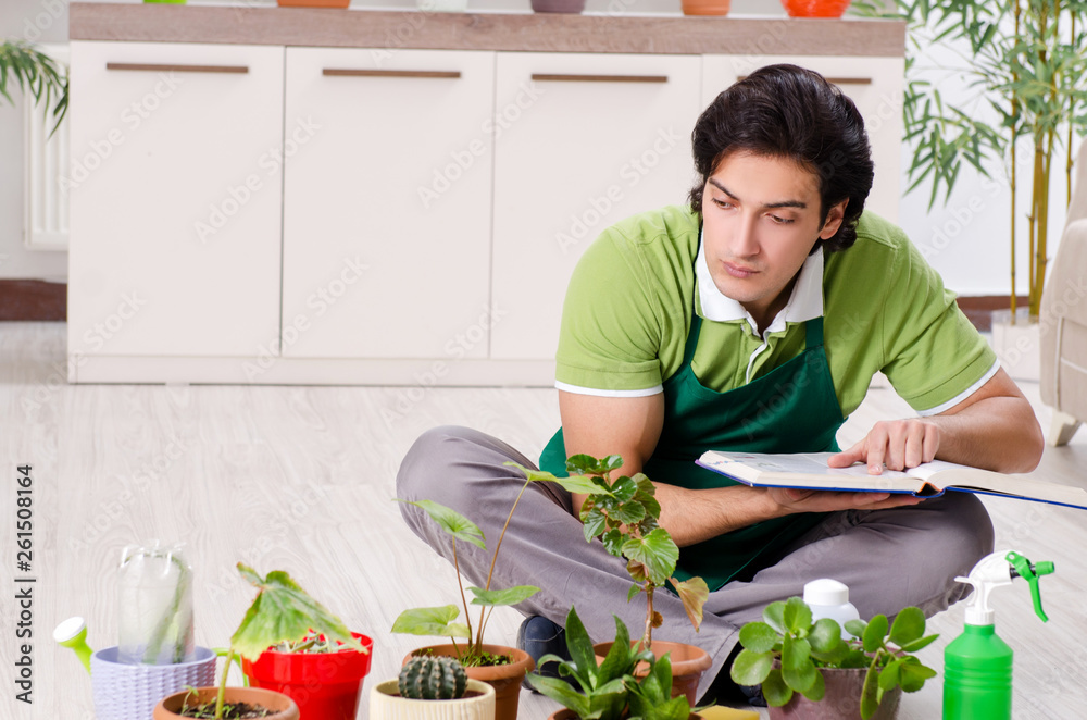 Young male gardener with plants indoors 