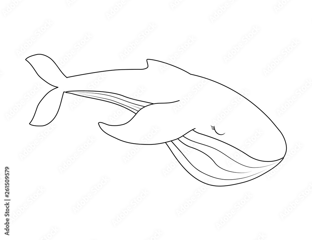 Obraz premium cute whale isolated icon