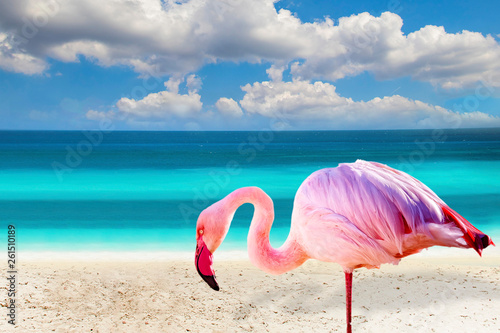 Obraz na płótnie bahamy dominikana kuba