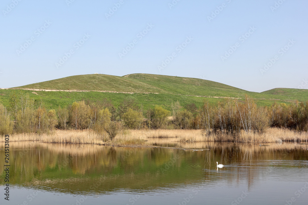 Biotopsee lake with swan and Arkenberge hill in Berlin in spring Biotopsee lake with swan and Arkenberge hill in Berlin in spring