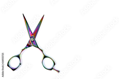 Dog grooming scissors isolated on white background