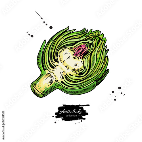 Artichoke hand drawn vector illustration. Isolated Vegetable object.