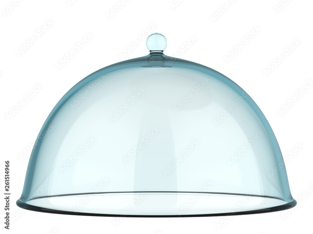 Glass Spherical Cloche Cover with Handle Glass Spherical Cloche Cover with Handle