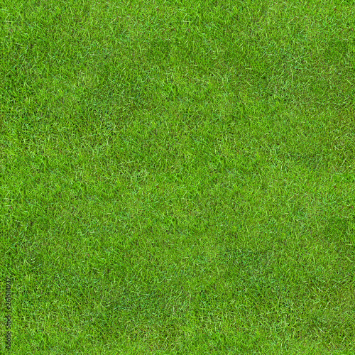 Seamless Green Lush Grass Texture