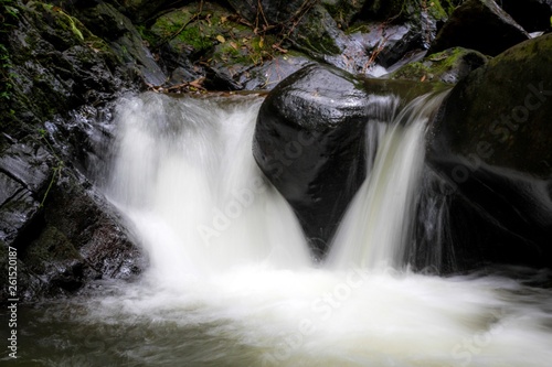 waterfall in forest