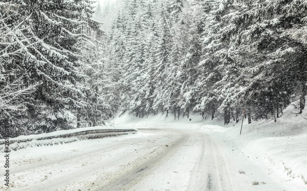 Obraz premium Forest road covered with snow during blizzard snowstorm, trees on both sides. Dangerous driving conditions in winter