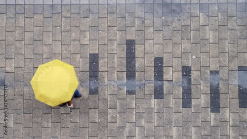 Untitled ProjectTop view on person with umbrella walking at street. Rainy day concept.