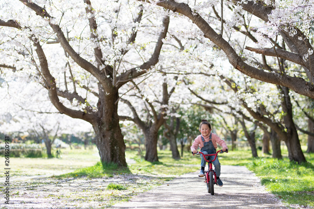 桜の木の下で自転車に乗る女の子