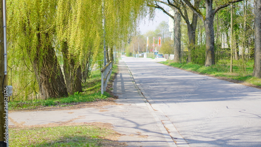 Obraz premium Landschaft Blumen Feld