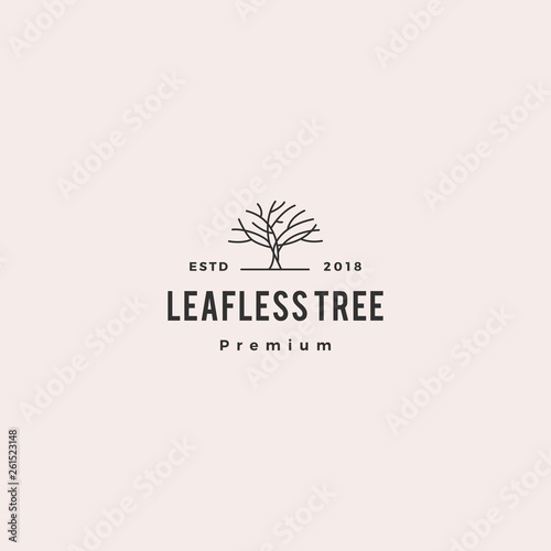 leafless tree logo vector icon illustration