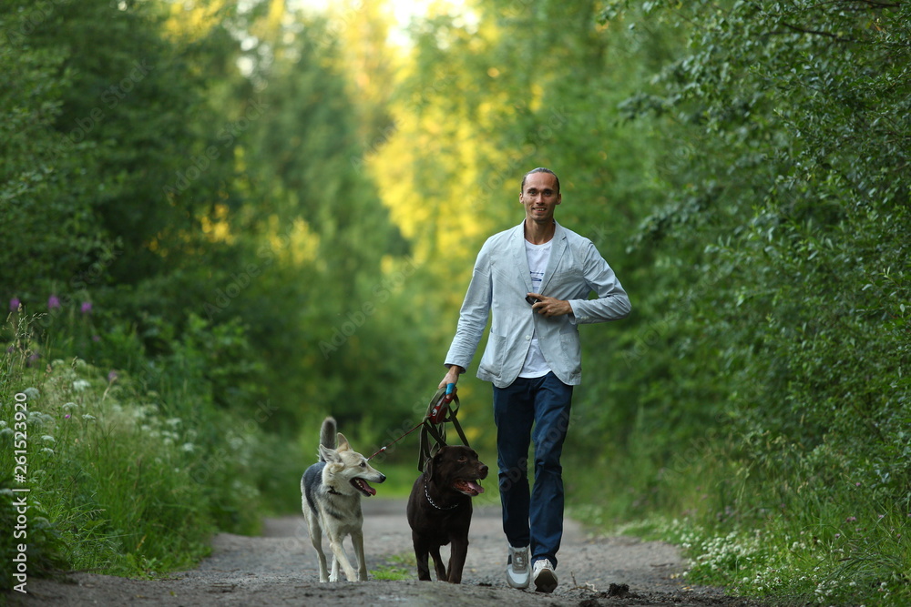 Obraz premium A man with two dogs walking on a sunny meadow