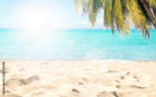Beach coconut tree and sea clear water of holiday relax summer