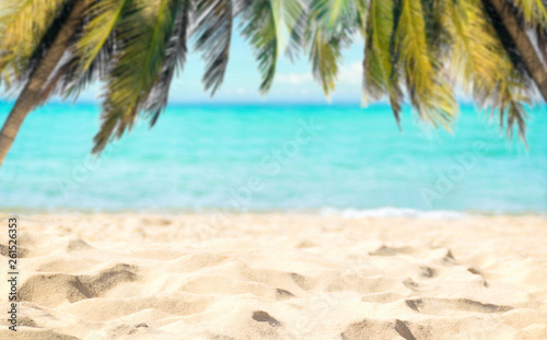 Fototapeta Naklejka Na Ścianę i Meble -  Beach coconut tree and sea clear water of holiday relax summer