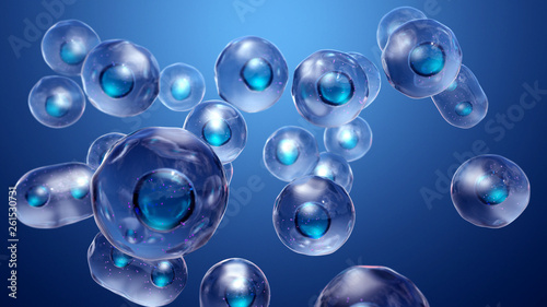 Photography Cell Division or Cloning Cells