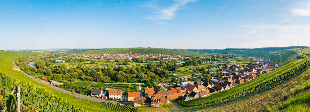 Die Main-Schleife mit Weinbergen im Sommer - Panorama