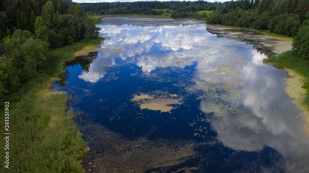 Fototapeta premium Top view of the forest lake and vegetation