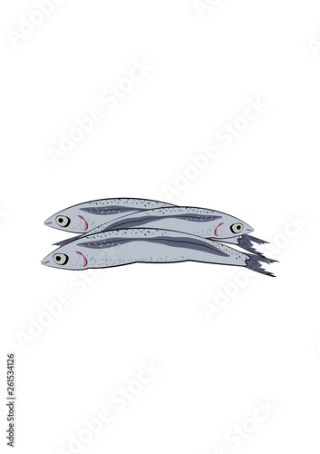 sardine
