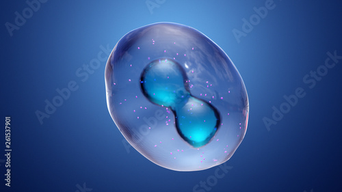 Obraz na płótnie Cell Division or Cloning Cells
