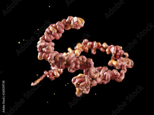 Lyme disease bacteria isolated black 3D illustration photo