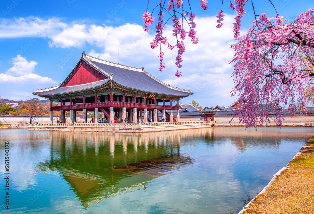 gyeongbokgung palace in spring at seoul city south korea