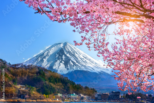 Mount Fuji and cherry blossoms which are viewed from lake Kawaguchiko, Yamanashi, Japan. photo