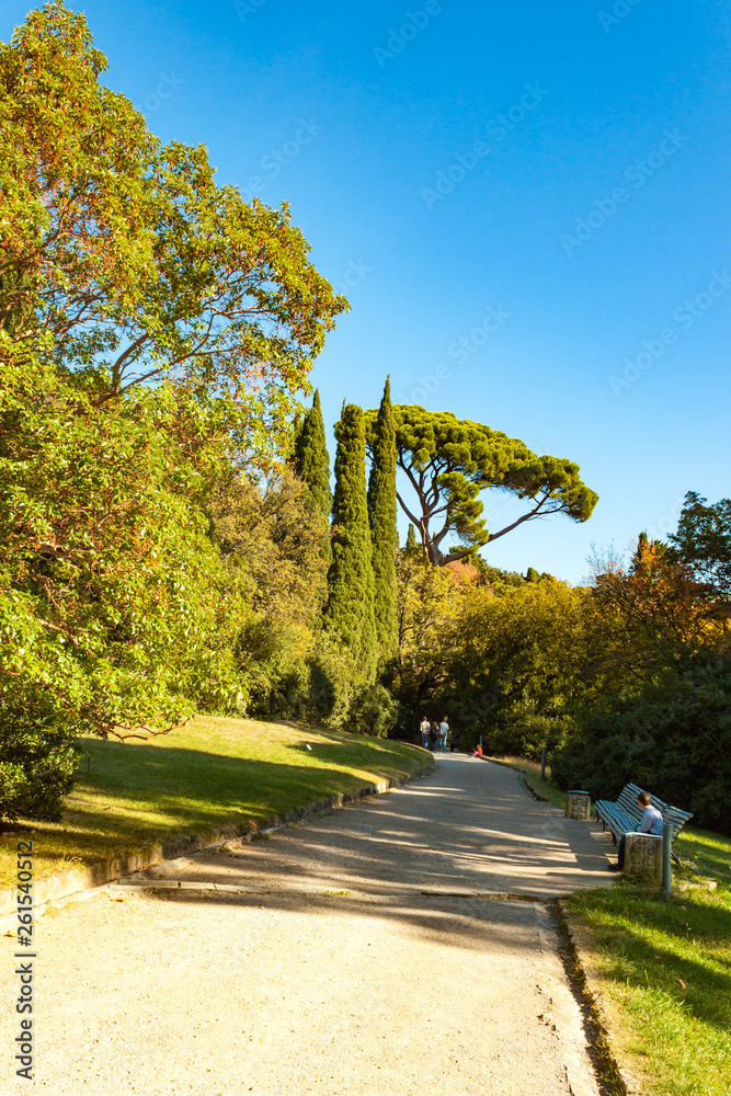 Obraz premium Russia, Crimea, Alupka 03 November 2018: incredibly beautiful landscape view of the park of Vorontsov Palace with coniferous and deciduous trees, woody shrubs, Cypress.