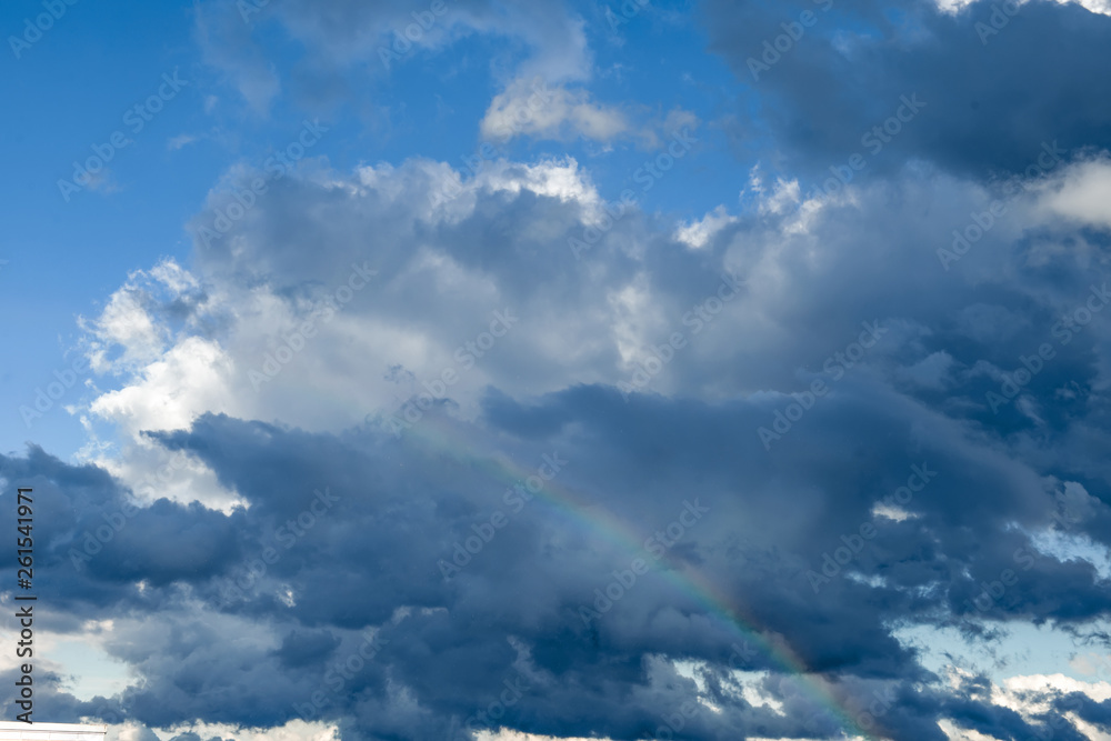 Fototapeta premium Sky rainbow forest. Sky rainbow forest on white background. Rainbow sky landscape. Rainbow background. Rainbow sunset. Beautiful blue rainbow sky.