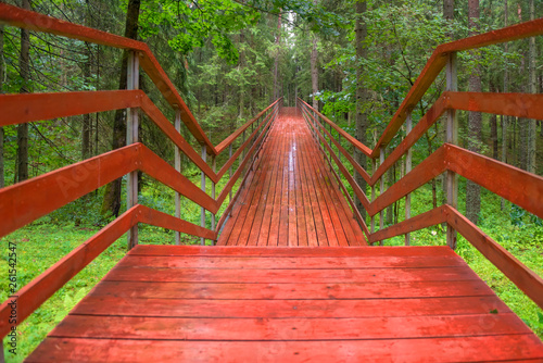 Wooden bridge over a ravine in a forest on a rainy summer day